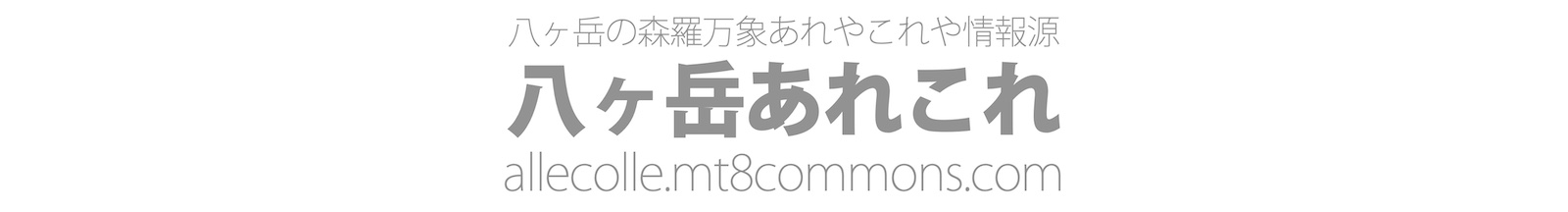 八ヶ岳あれこれ